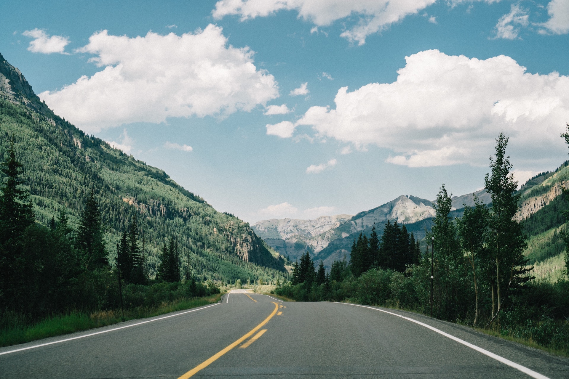 An empty road running through vibrant tree-filled mountainsides